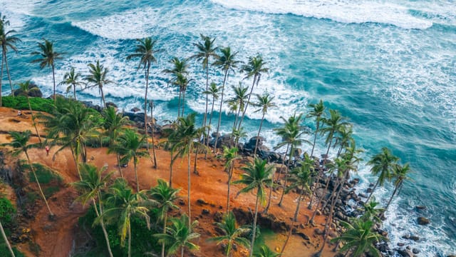 Coconut Tree Hill - sunset